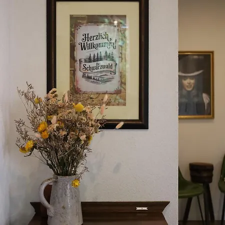 Haus Tausendtann Oberkirch (Baden)