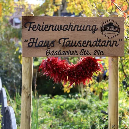 Apartmán Haus Tausendtann Oberkirch (Baden)