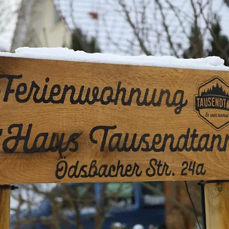 Haus Tausendtann Appartamento Oberkirch (Baden)